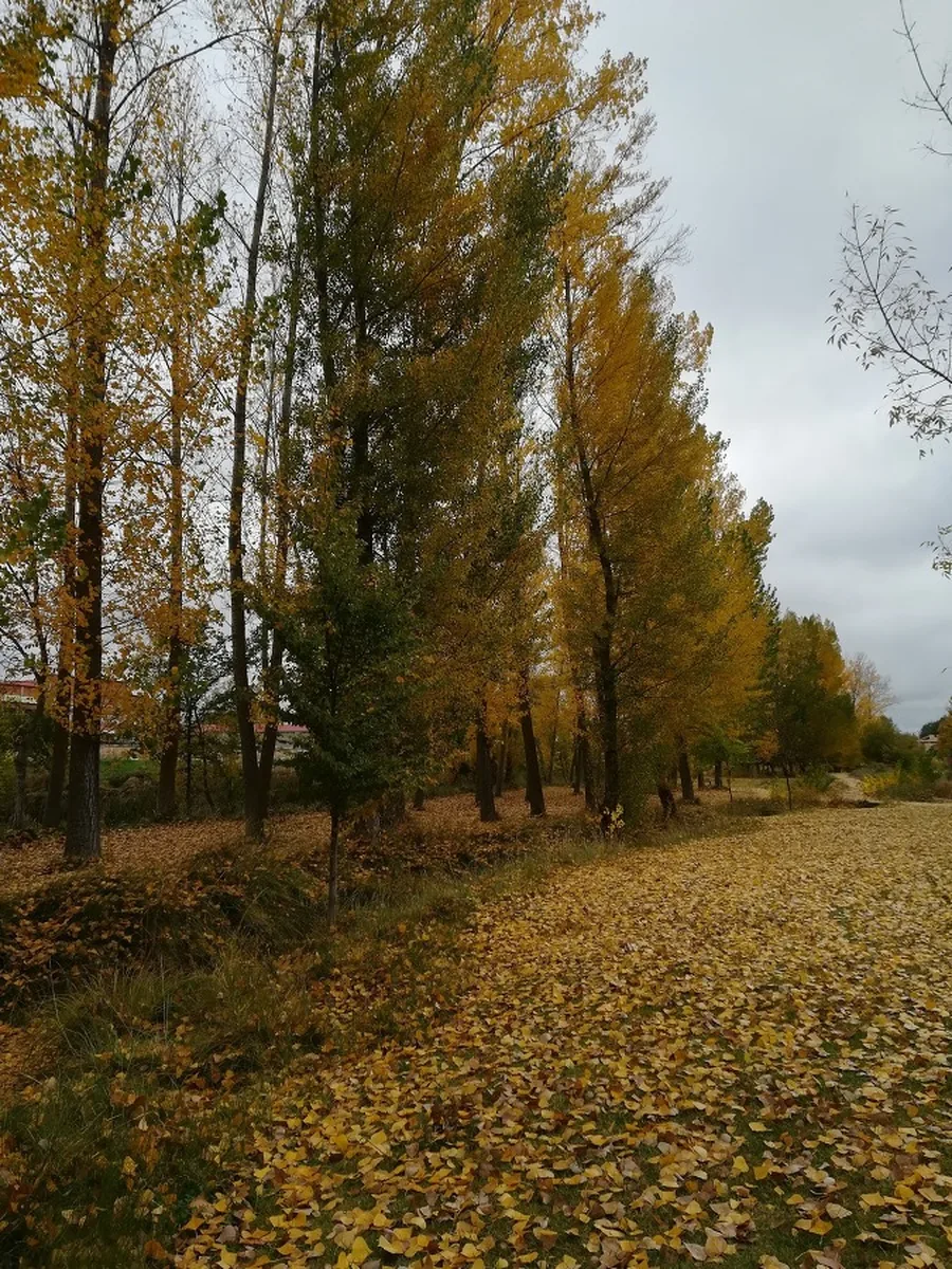 El otoño en Roma y el mito del Minotauro